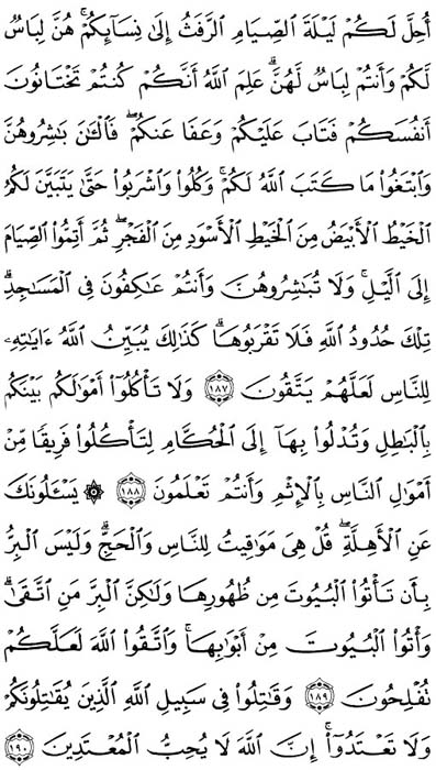 صفحة المصحف 29