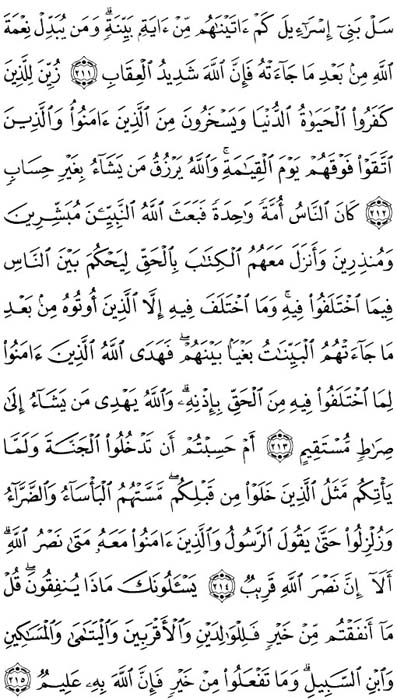 صفحة المصحف 33