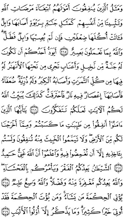 صفحة المصحف 45