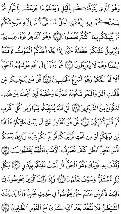 صفحة المصحف 135