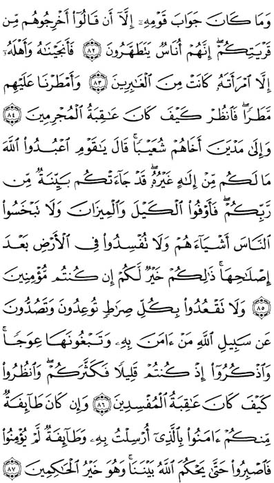 صفحة المصحف 161