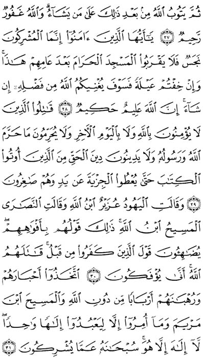 صفحة المصحف 191