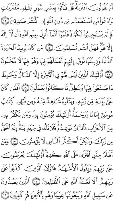 صفحة المصحف 223