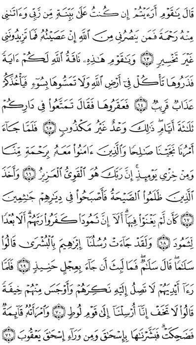 صفحة المصحف 229