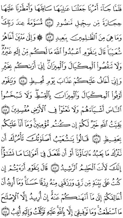 صفحة المصحف 231