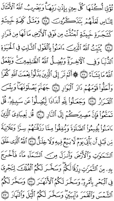 صفحة المصحف 259