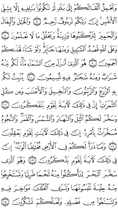 صفحة المصحف 268