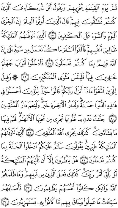 صفحة المصحف 270