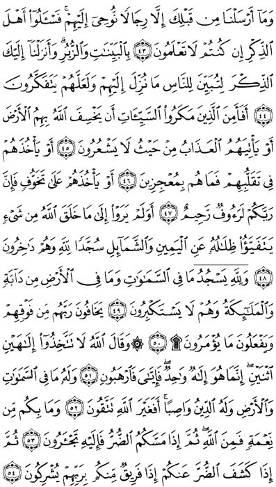 صفحة المصحف 272