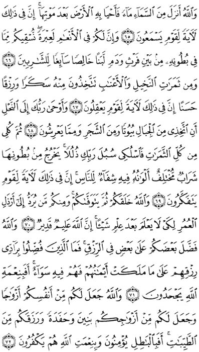 صفحة المصحف 274