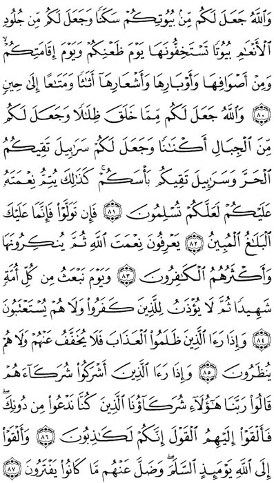 صفحة المصحف 276