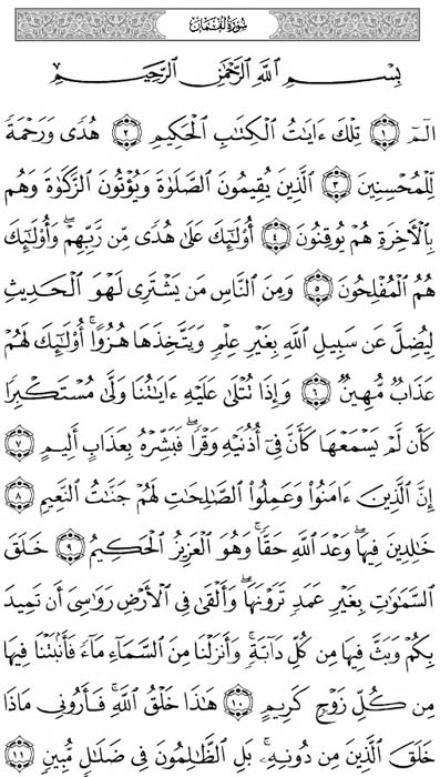 صفحة المصحف 411