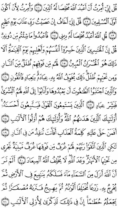 صفحة المصحف 460